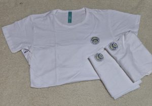 Camiseta Malwee Simples